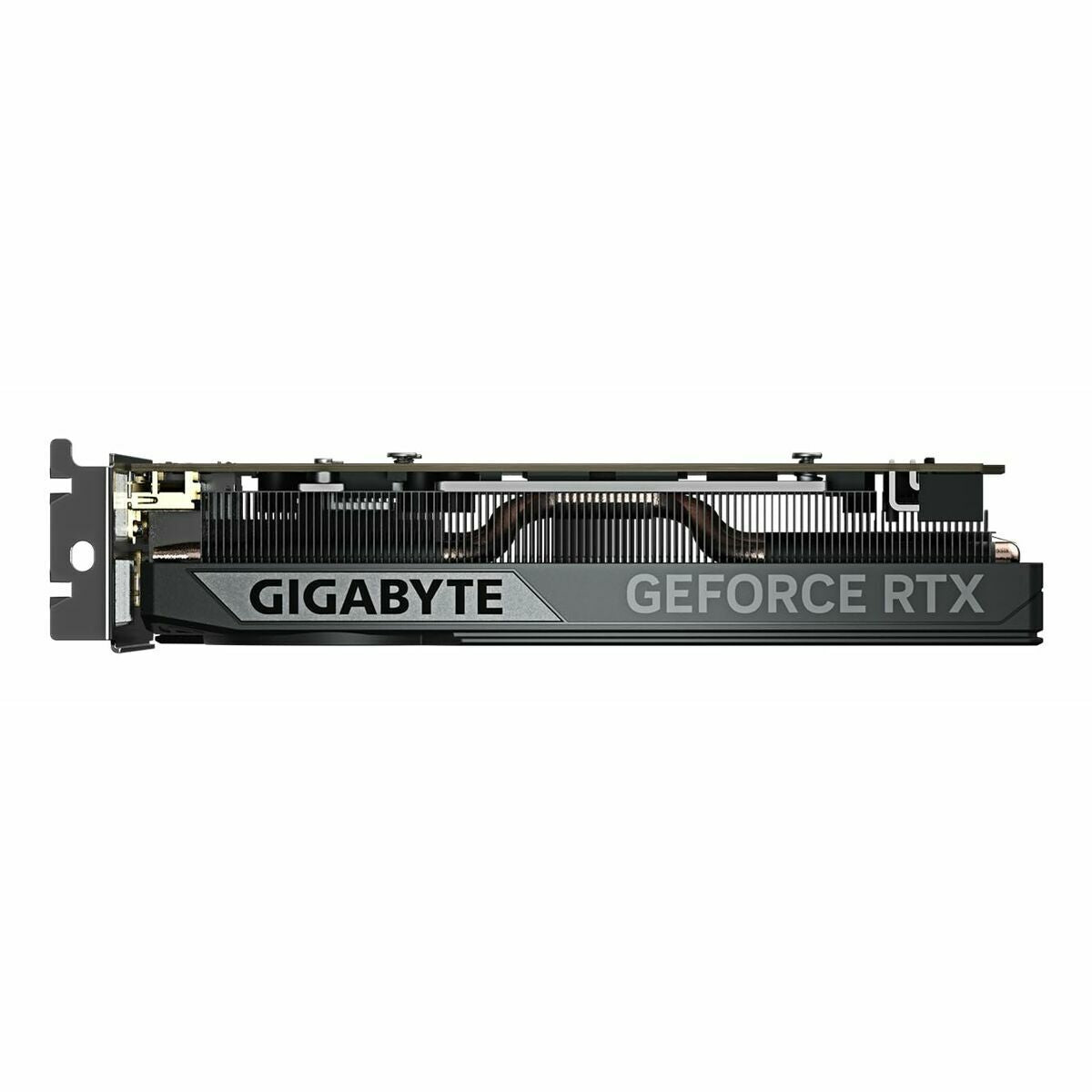 Graphics card Gigabyte GeForce RTX 5060 OC Low Profile 8G GEFORCE RTX 5060 8 GB GDDR7